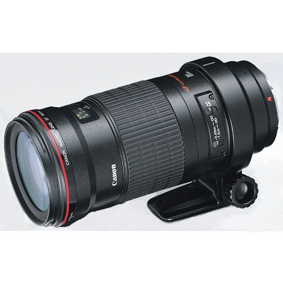 キヤノン EF180mm F3.5L マクロ USM